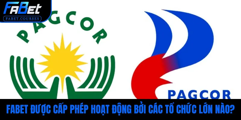 Các tổ chức hàng đầu cấp phép cho nền tảng