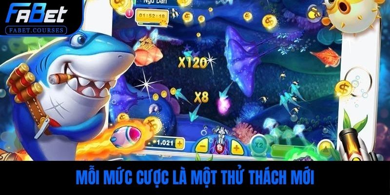 Mỗi mức cược là một thử thách mới